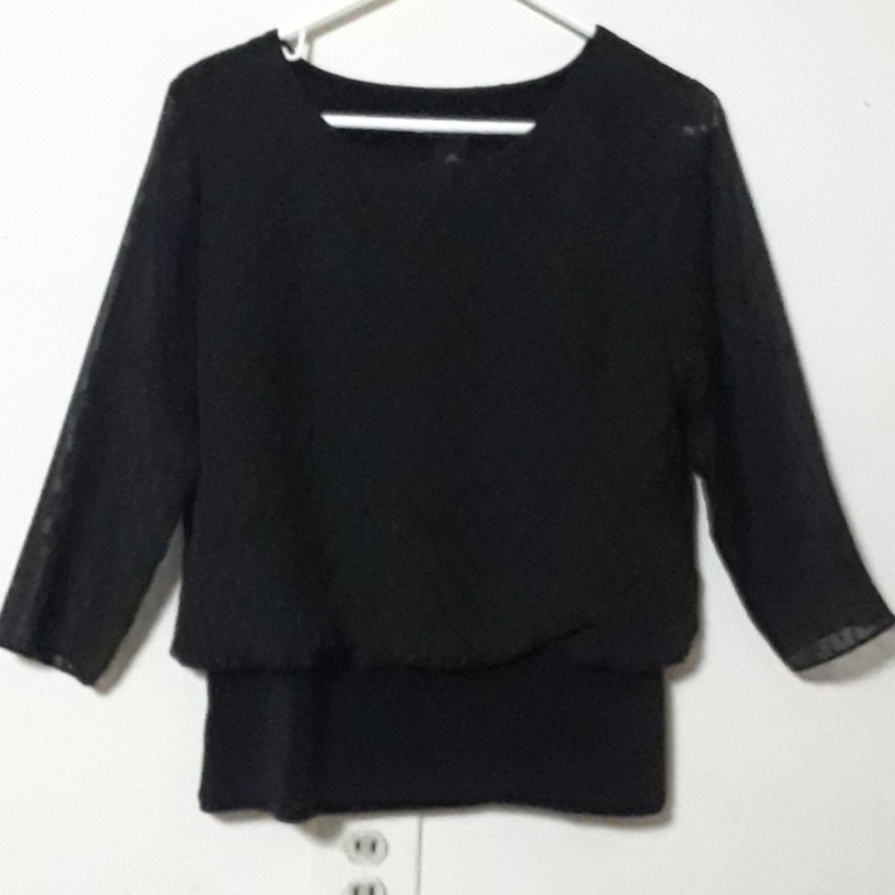 Sheer Blouse - image 1